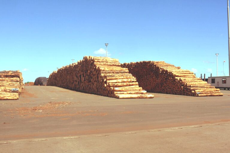 Log Pile